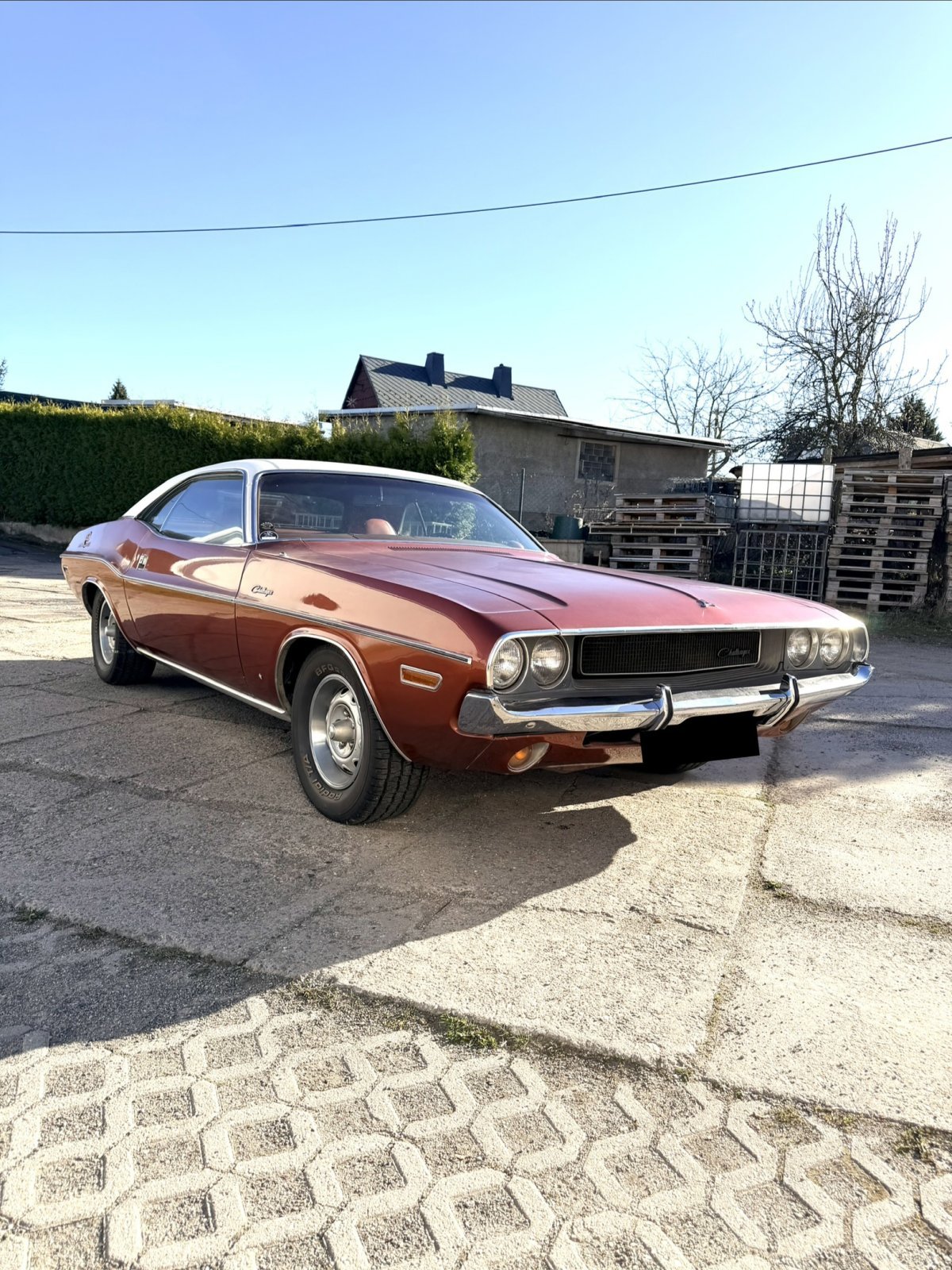 Dodge Challenger Bj.1969 383cui/6,3l V8 Western Sport Special 1 of 381